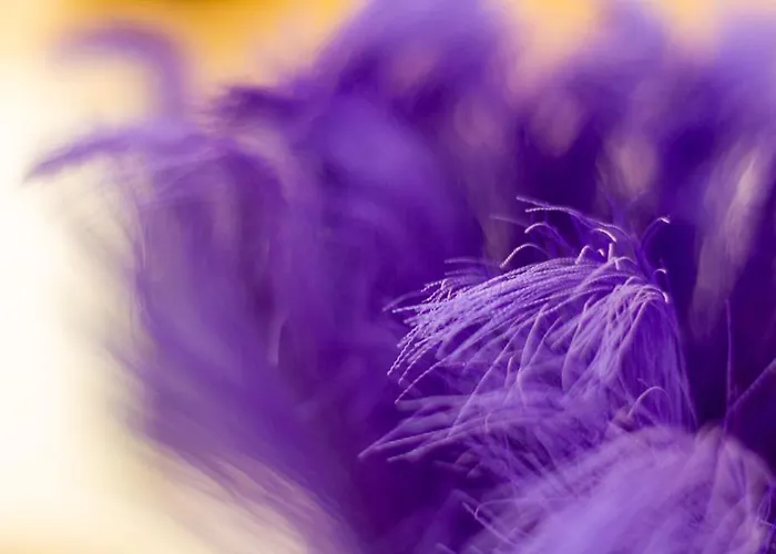 Bolyai 3br Ac Parking Grf דירה שיופוק