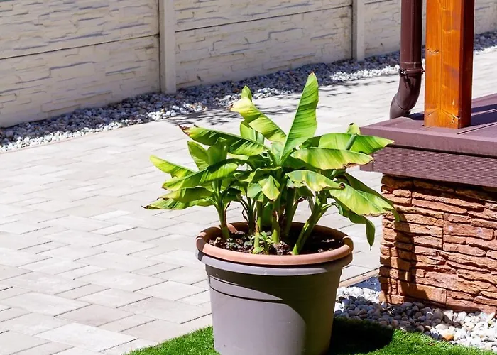 Bolyai 3br Ac Parking Grf שיופוק